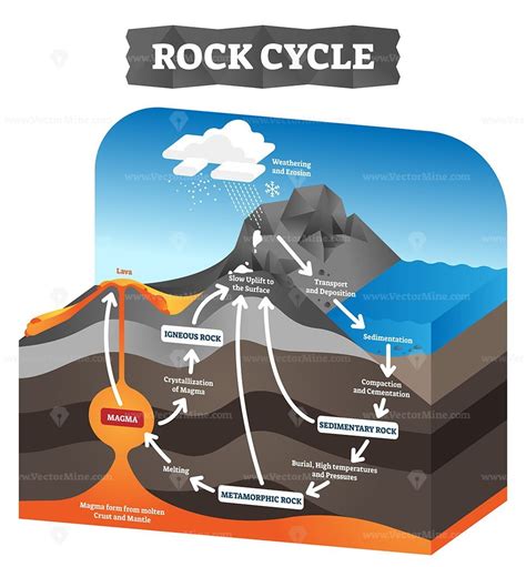 Rock cycle vector illustration - VectorMine