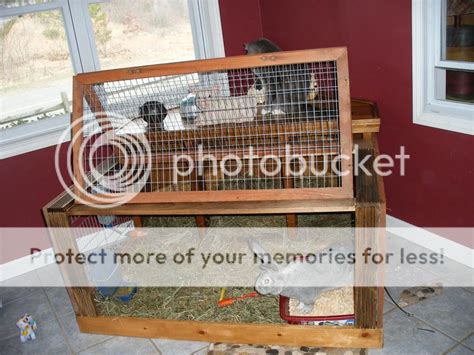 Flemish Giant Rabbit Cage