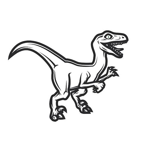 Best Velociraptor Illustrations, Royalty-Free Vector Graphics & Clip Art - iStock