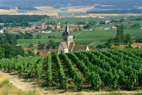 Champagne Day Tour (Epernay) from £186pp – Wine Tasting France