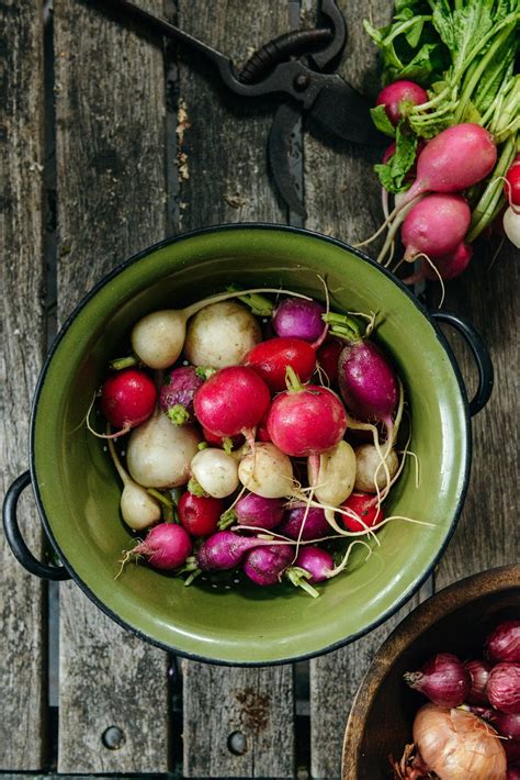 What To Do With Radishes & The Seasonal Overload of Zucchini - With The Grains