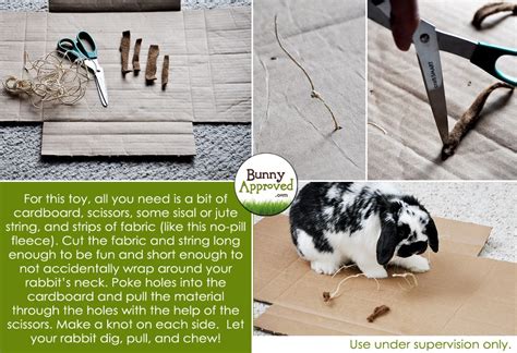 DIY Rabbit Toy Ideas - Bunny Approved - House Rabbit Toys, Snacks, and ...