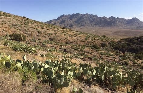 Best hikes and trails in Rockhound State Park | AllTrails