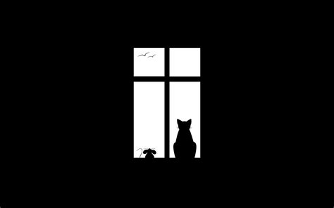 Fondos de pantalla : Minimalismo, Obra de arte, fondo negro, Animales, blanco, gato, aves ...