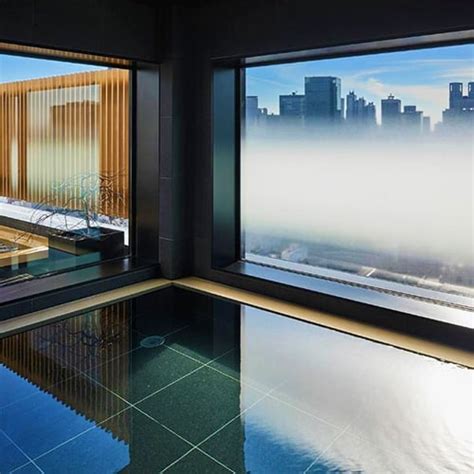 The 10 Best Tokyo Hotels With An Onsen (2025 Guide)