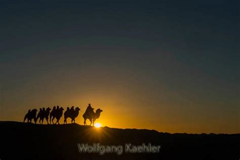 Highlights of Mongolia - Photo Tours — Photo Tours