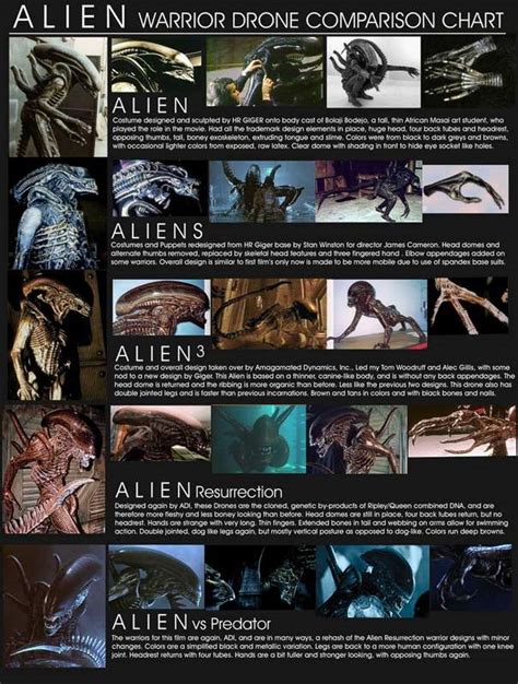 Xenomorph Types Xenomorph Alien Vs Predator Xenomorph