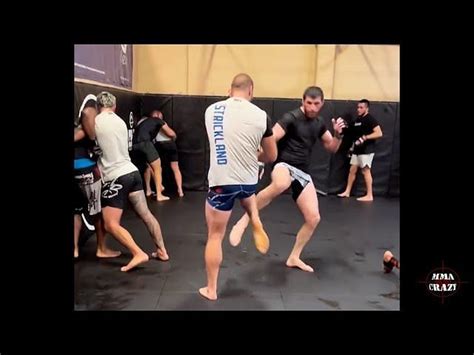 khabib nurmagomedov training: Does Magomed Ankalaev train with Khabib ...