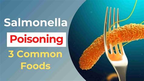 Top 3 Common Foods Behind Salmonella Poisoning — Eating Enlightenment