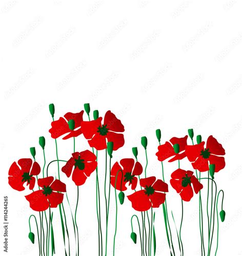 poppy flower concept vector illustration Stock Vector | Adobe Stock