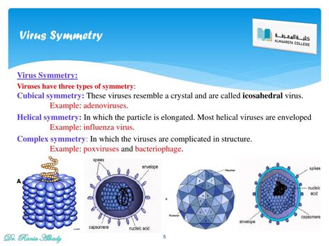 PPT - Virology PowerPoint Presentation, free download - ID:2274990