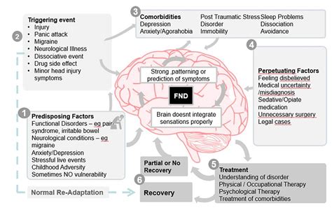 Functional Neurological Disorder - Nicole Lavin Neurological Rehabilitation