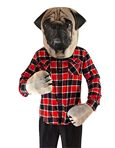 PUG COSTUMES FOR KIDS — Pug Jokes