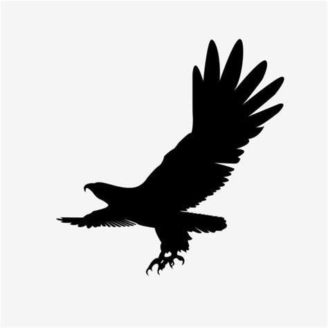 Soaring Eagle Silhouette PNG Transparent, Soaring Eagle Black Silhouette, Vector Illustration ...