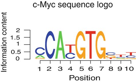 Sequence logo for c-Myc | Download Scientific Diagram