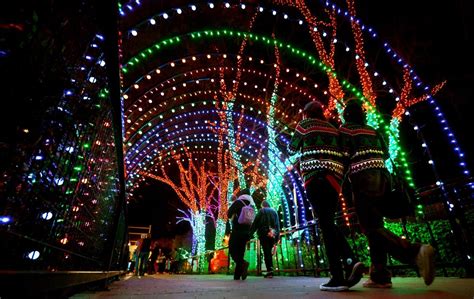 Things to do in Tucson: NYE, cat yoga, holiday lights