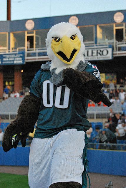 Swoop,the Eagle,Philadelphia Eagles. Eagle Costume, Eagle Mascot ...