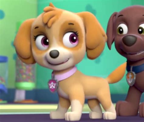 Skye, The Cockapoo - PAW Patrol Photo (40127294) - Fanpop