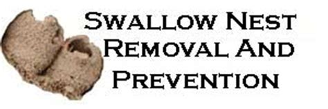 Swallow Control - swallow nest removal and proofing