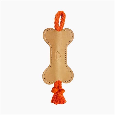 12 Rope Toys For Active Dogs · The Wildest