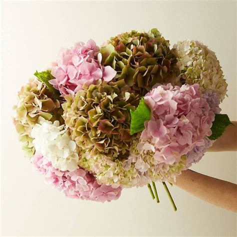 19 Best Online Flower Delivery Services in the USA - Petal Republic