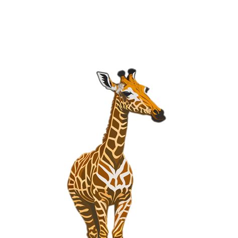 Isolated Giraffe Clipart, Giraffe illustration on transparent ...