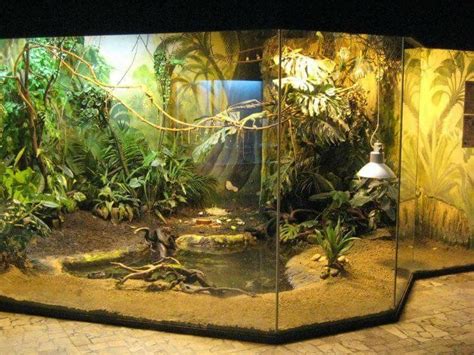 Iguana enclosure Lizard Habitat, Turtle Habitat, Reptile Habitat, Snake Enclosure, Tortoise ...