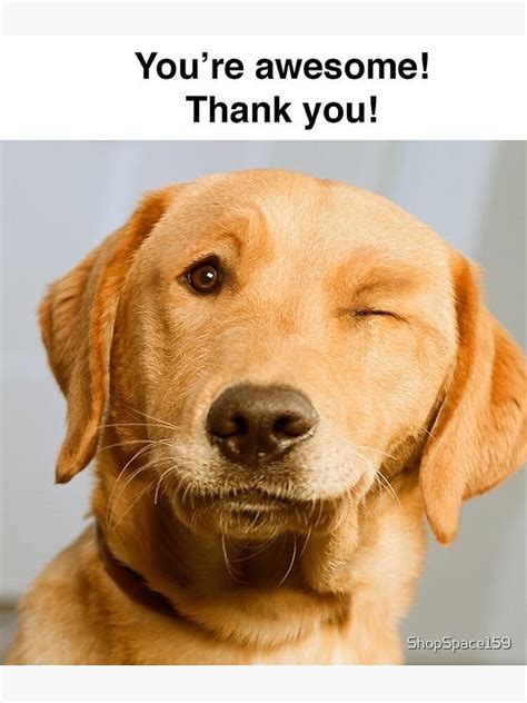 " thank you meme,thank you memes" Poster for Sale by ShopSpace159 | Redbubble