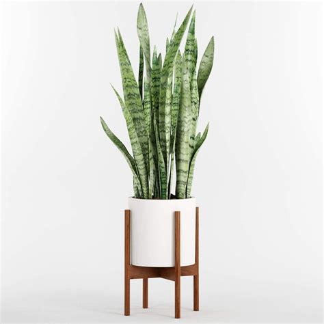 20 Best Indoor Flower Pots 2023: Shop Our Stylish Picks