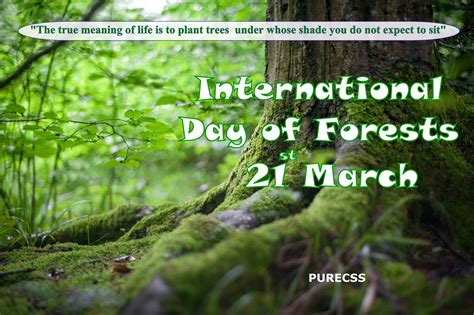 International Day of Forests ! 21 March