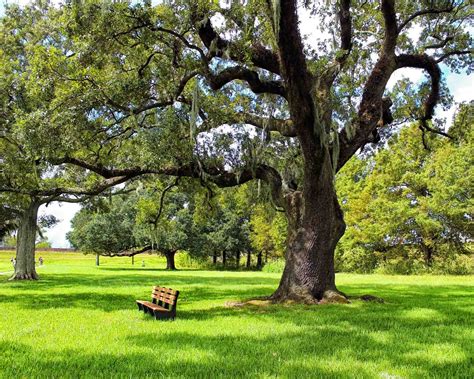 6 Incredible National Parks in Louisiana - Roaming the USA