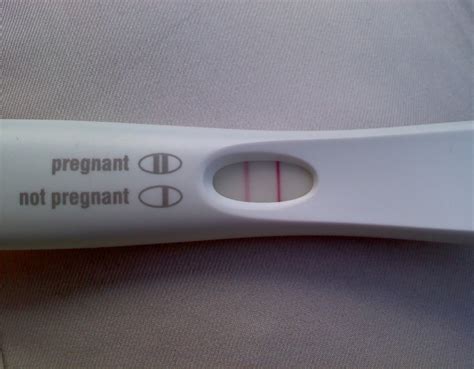 Prank Fake WORKING Positive Pregnancy Test Single Wrapped Stick - Best Joke