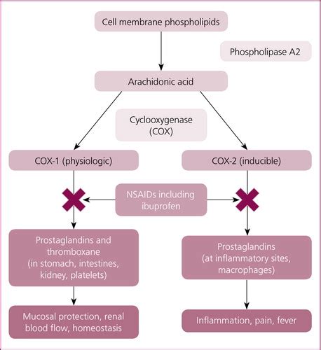 Ibuprofen Mechanism Of Action