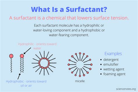 Surfactant Definition and Examples