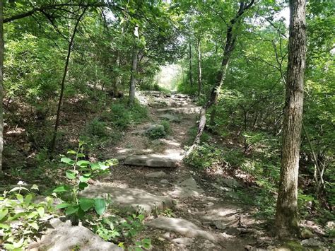 Bluff Trail - North Multi Trail - St. Louis, Missouri