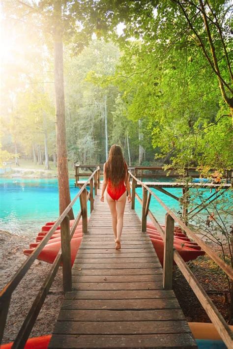 Tips For Gilchrist Blue Springs: A Natural Florida Paradise - Florida Trippers