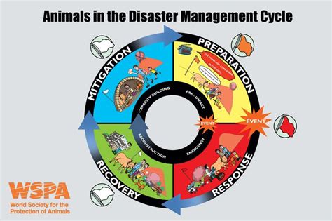 Disaster Management Poster Drawing - Taha