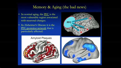 Human Memory, Aging and the Brain or Where Did I Put Those Keys? - YouTube