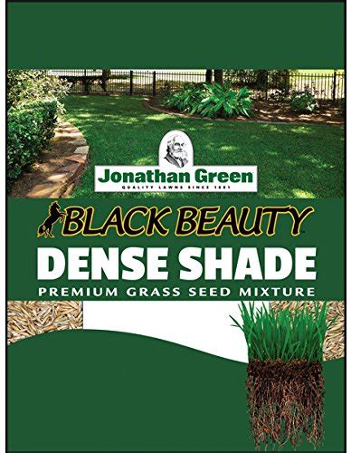 The Best grass seed for deep shade : Top 10 Picks By An Expert – Maine ...