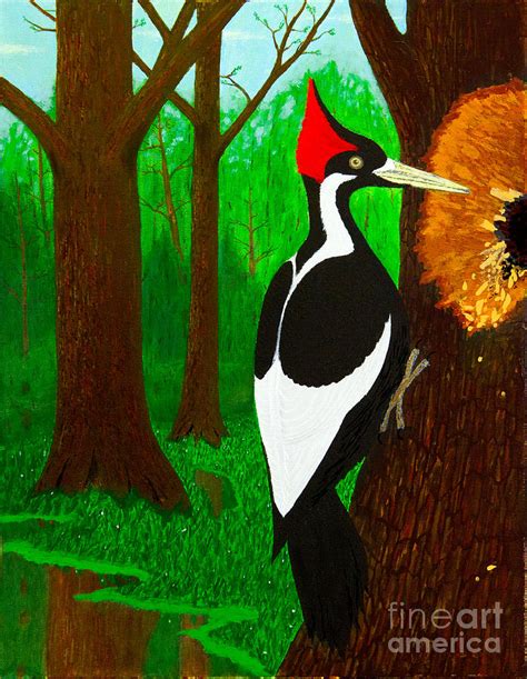 Ivory-Billed Woodpecker Painting by L J Oakes