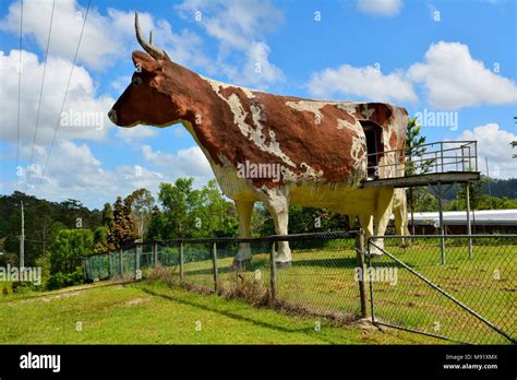 Big cow statue australia hi-res stock photography and images - Alamy