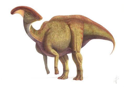 Parasaurolophus | Extinct Animals