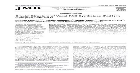 Crystal Structure of Yeast FAD Synthetase (Fad1) in Complex with FAD ...