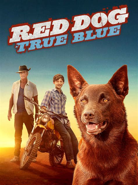 Prime Video: Red Dog: True Blue