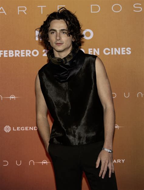 See Timothée Chalamet's Bold Dune Press Outfits