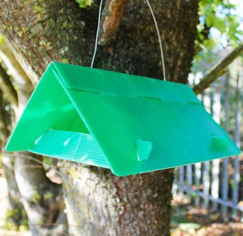 The 9 Best Best Moth Traps in 2024 - Reviewed & Buying Guide