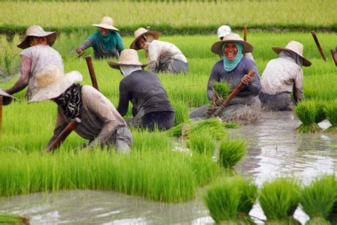 Why You Should Experience Farming At Least Once in Your Life | ModernFilipina.ph