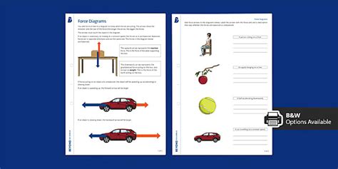 Force Diagrams Independent Learning Worksheet | Beyond