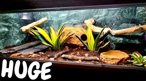 Aggregate more than 66 ball python tank decor best - seven.edu.vn