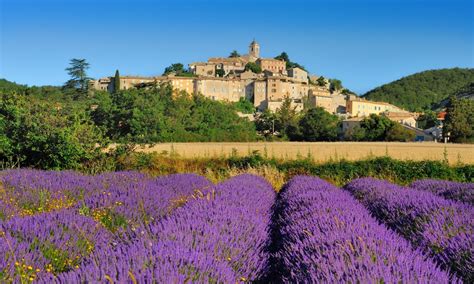 Avignon and villages of Luberon full day guided tour | musement